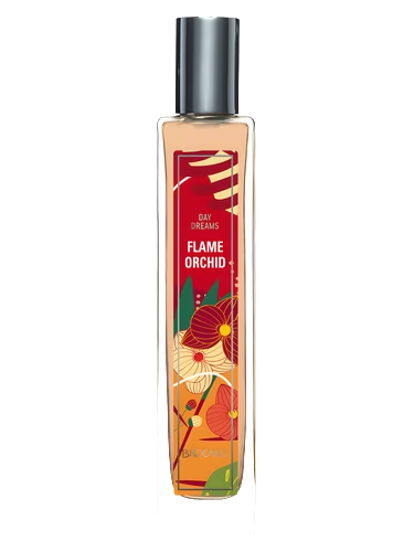 Flame Orchid