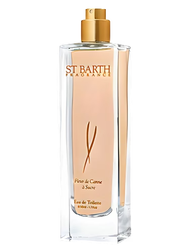 Fleur de Canne a Sucre