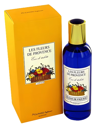 Fleur de Figuier