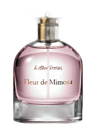 Fleur de Mimosa