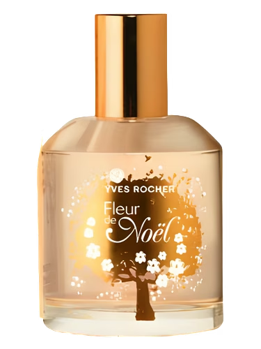 Fleur de Noel 2011