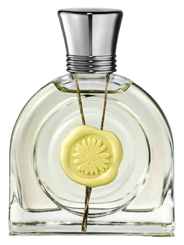 Fleur Lumière