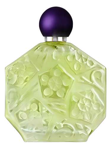 Fleurs d'Ombre/Violette - Menthe