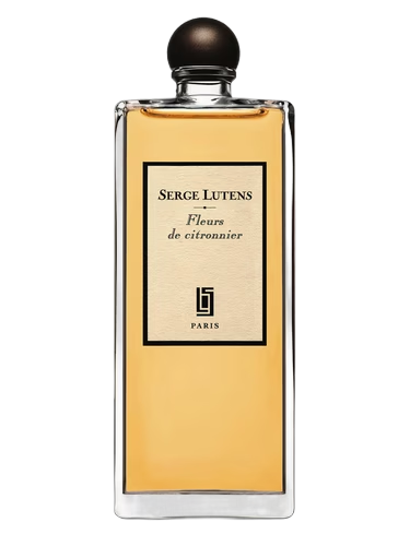 Fleurs de Citronnier
