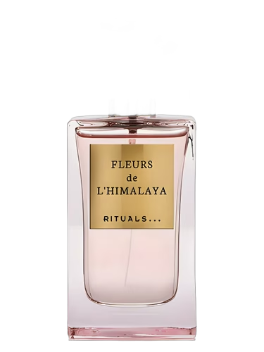 Fleurs de L'Himalaya