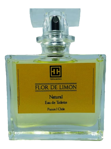 Flor de Limon