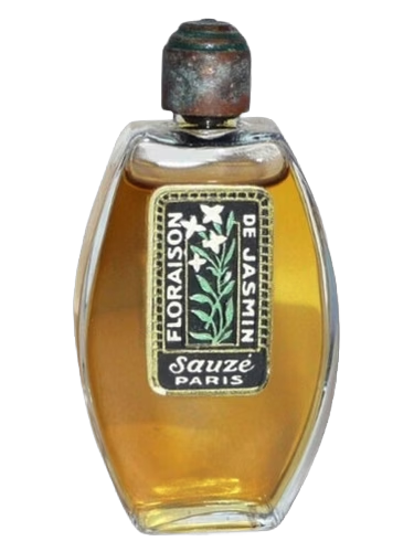 Floraison de Jasmin