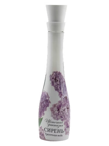 Цветочная Фантазия Сирень (Floral Fantasy Lilac)