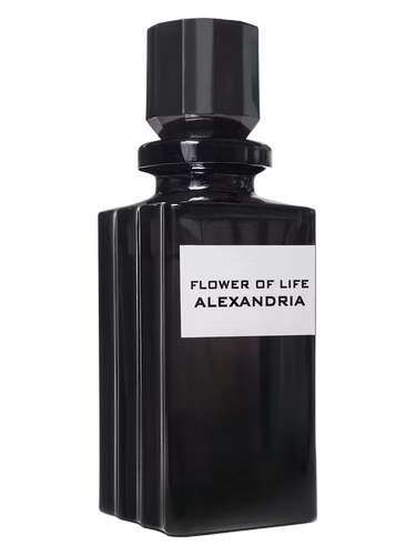 Flower of life Alexandria