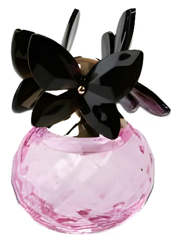 Flower Season Butterfly Ballet