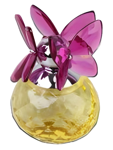 Flower Season Butterfly Dreams