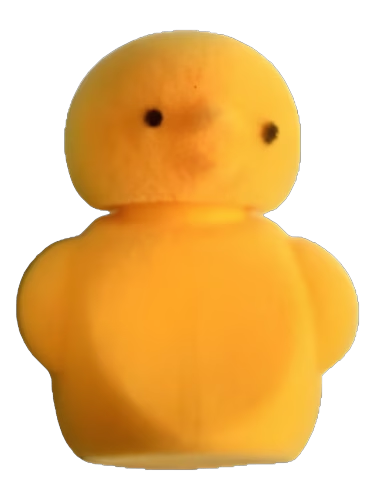 Fluffy Chick