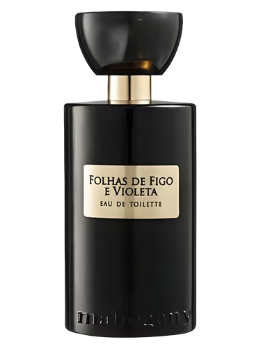 Folhas de Figo e Violeta