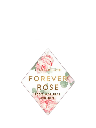 Forever Rose