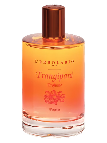 Frangipani