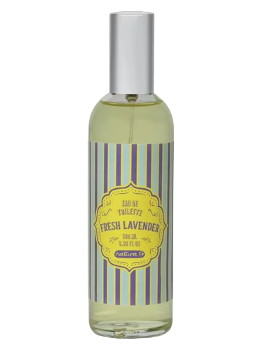 Fresh Lavender