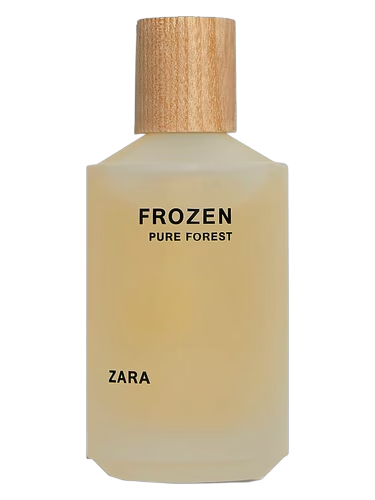 Frozen Pure Forest