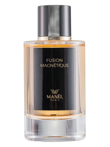 Fusion Magnétique