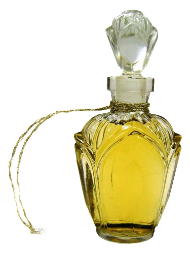 Gardenia