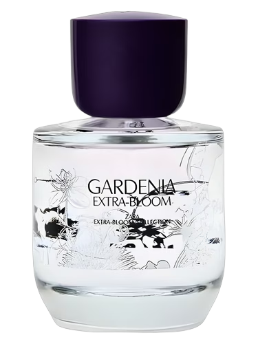 Gardenia Extra-Bloom