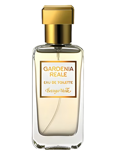 Gardenia Reale