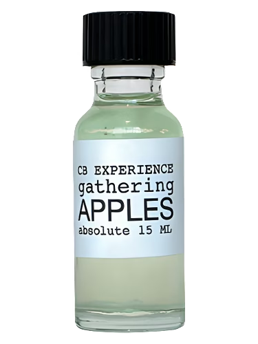 Gathering Apples
