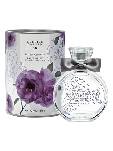 Gentle Camelia