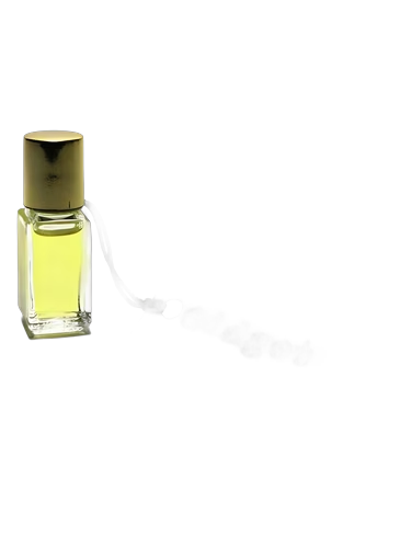 Gidget Perfume Oil