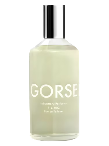 Gorse