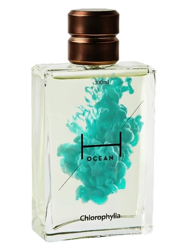 H Ocean