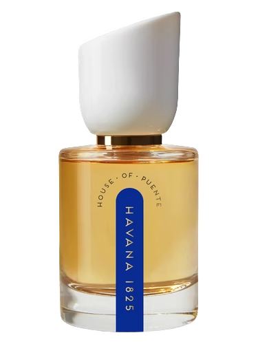 Havana 1825