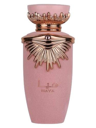Haya