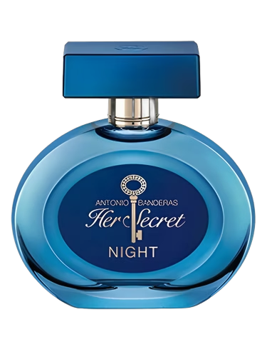 Her Secret Night
