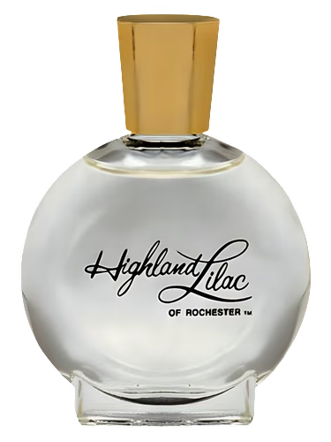 Highland Lilac