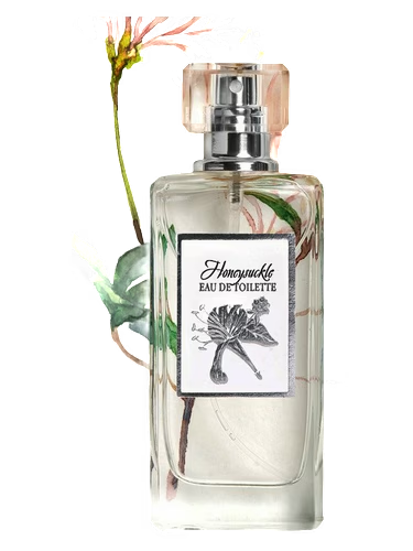 Honeysuckle
