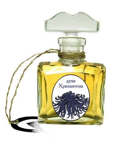 Hrisantema Хризантема