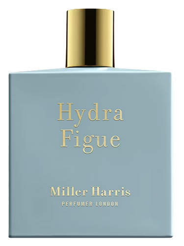 Hydra Figue