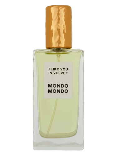 I Like You In Velvet