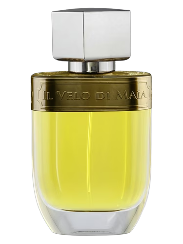 Il Velo di Maia