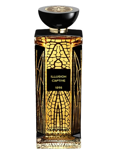 Illusion Captive