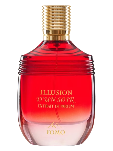 Illusion D'un Soir