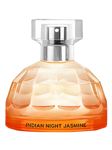 Indian Night Jasmine