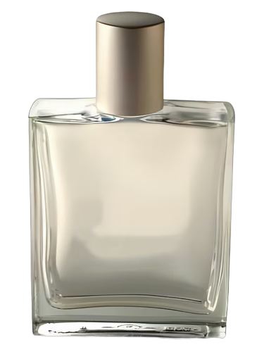 Indian Vetiver
