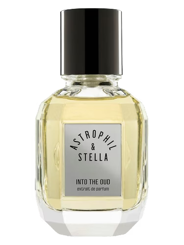 Into The Oud