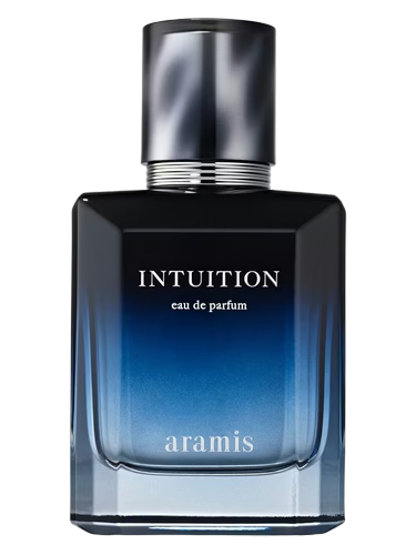 Intuition