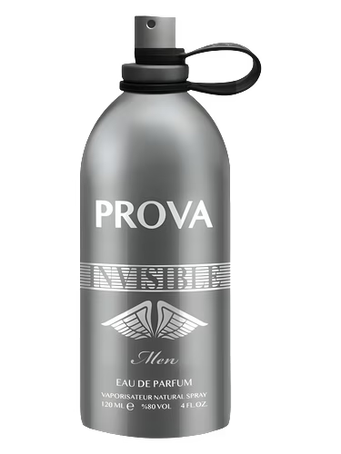 Invisible