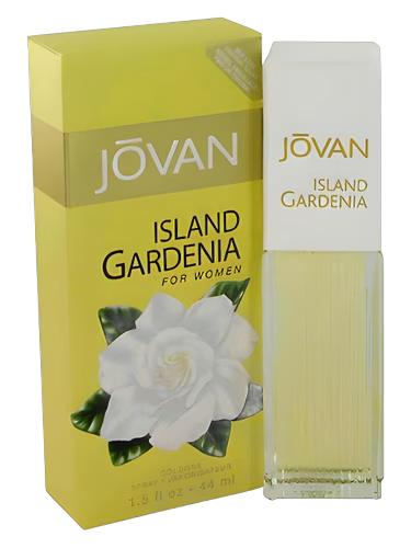 Island Gardenia