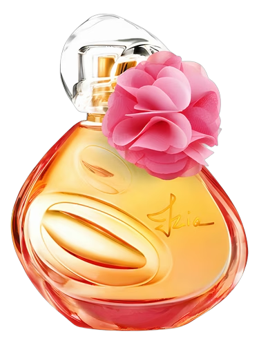 Izia Anniversary Edition 2018