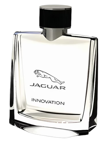 Jaguar Innovation