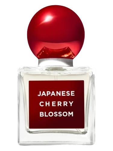 Japanese Cherry Blossom 2020 Edition